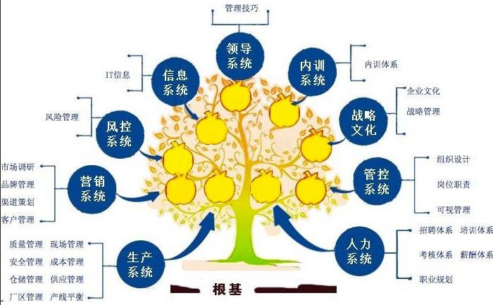 什么是中國(guó)企業(yè)高層最需要的企業(yè)管理培訓(xùn)